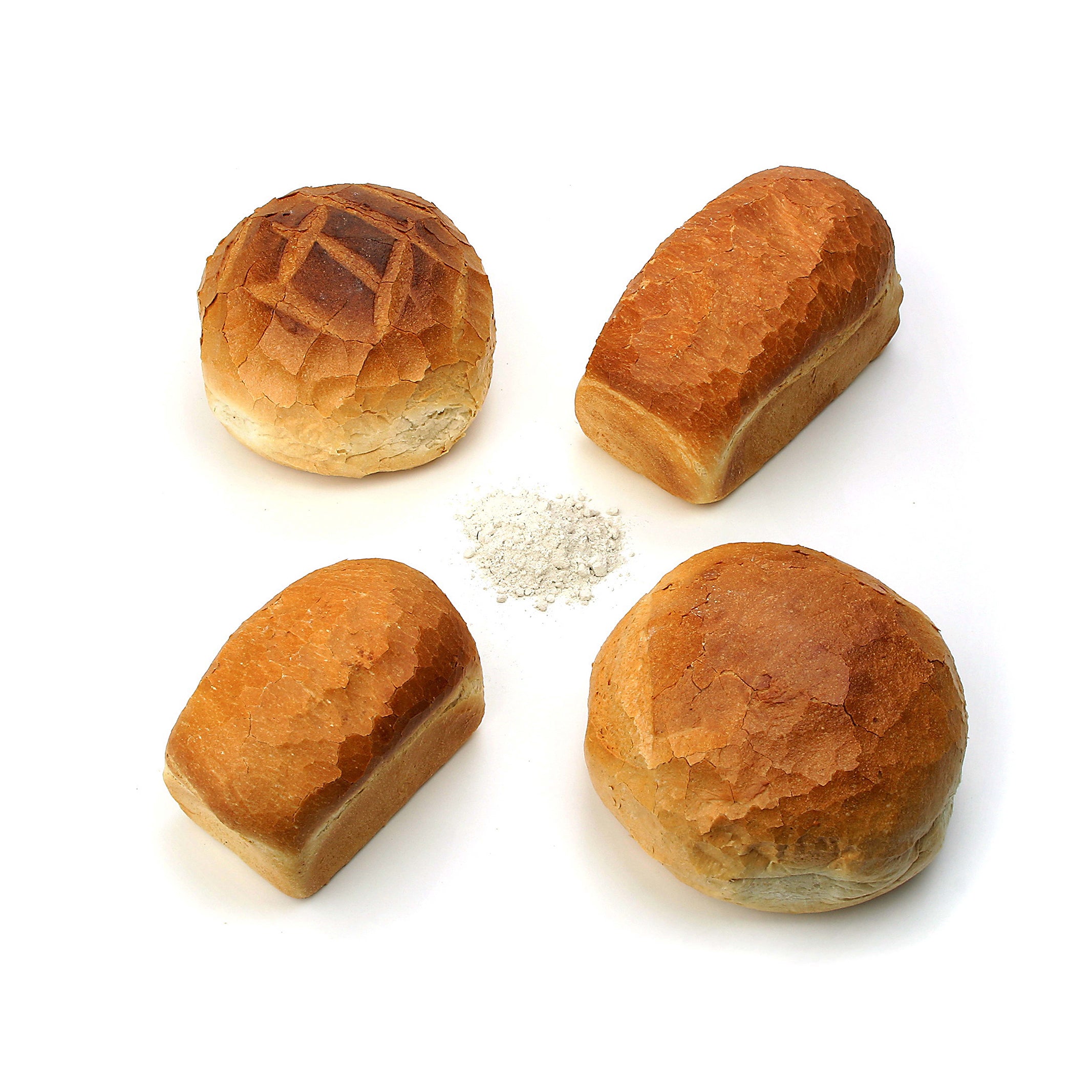 Wit lang brood