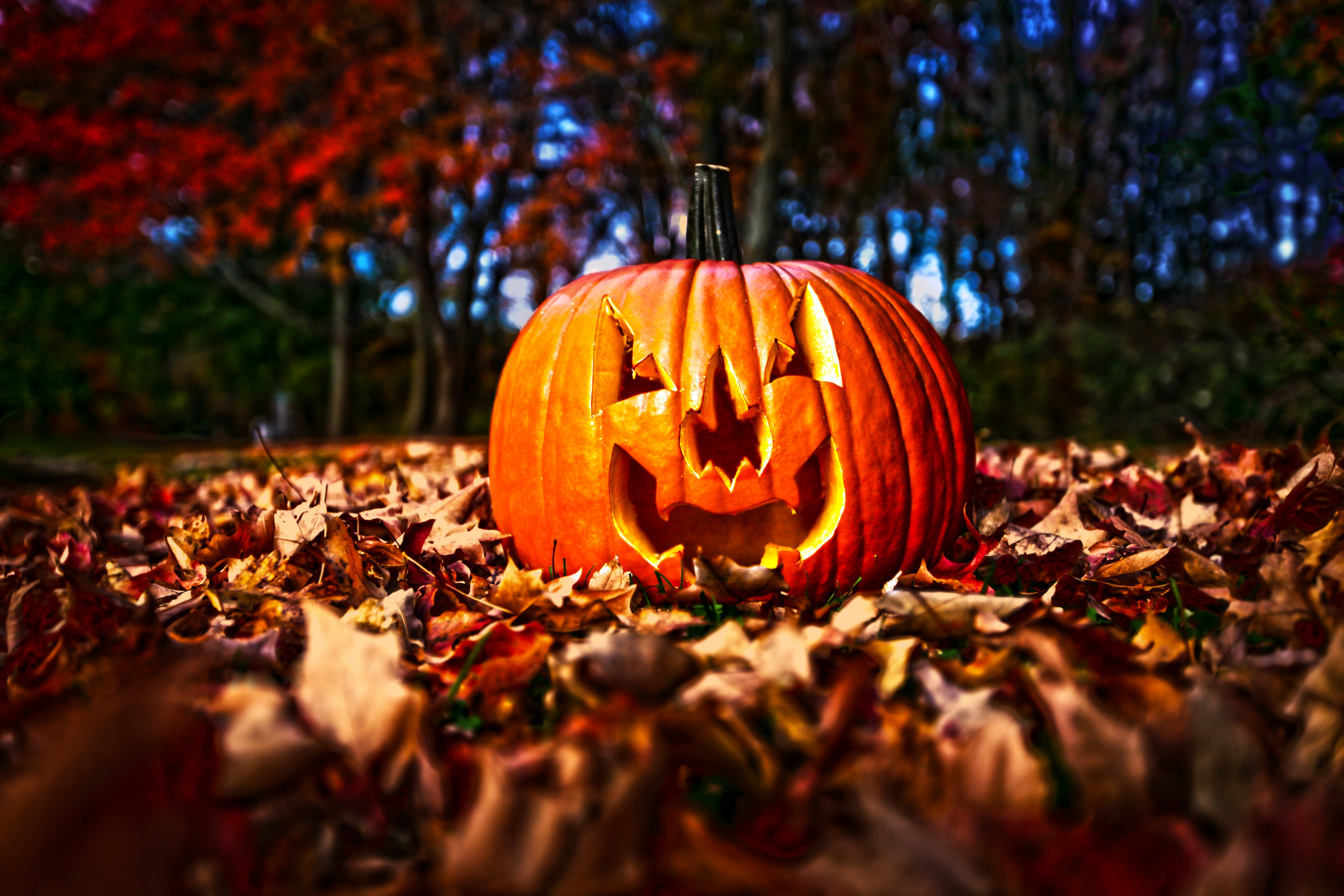 Halloween 31 oktober!