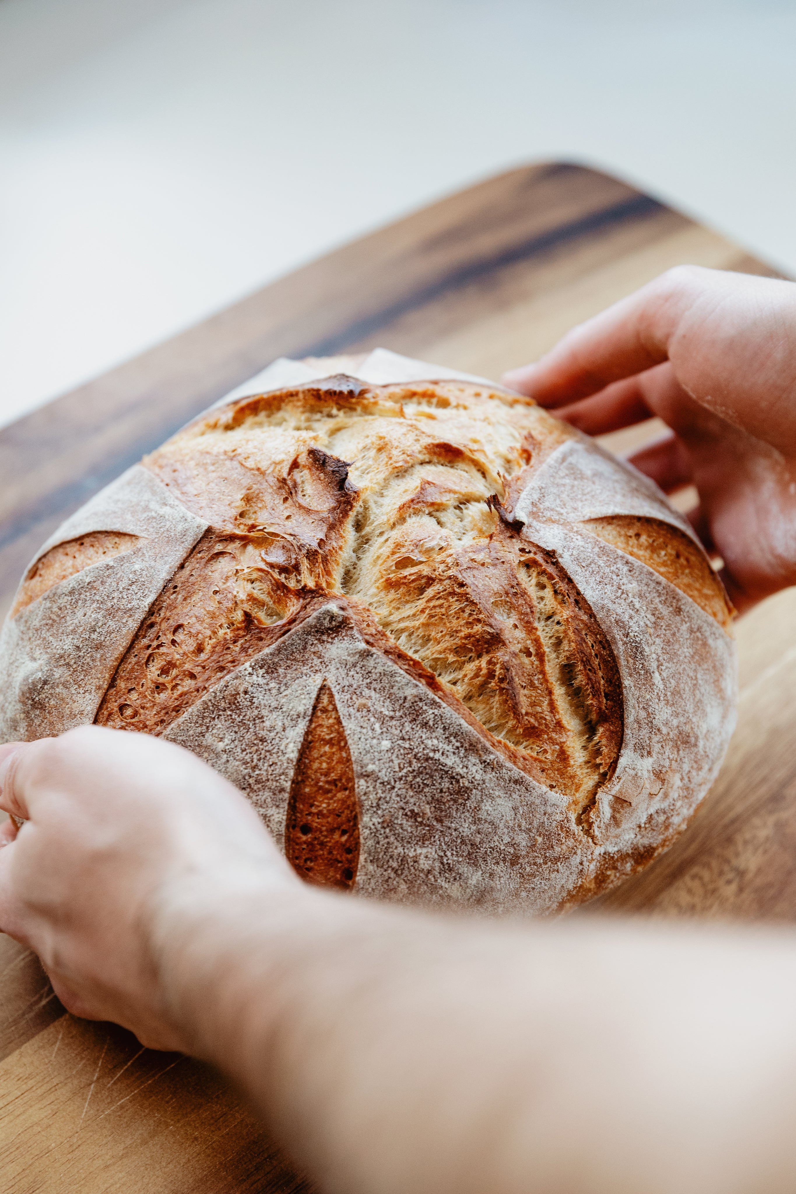 Brood